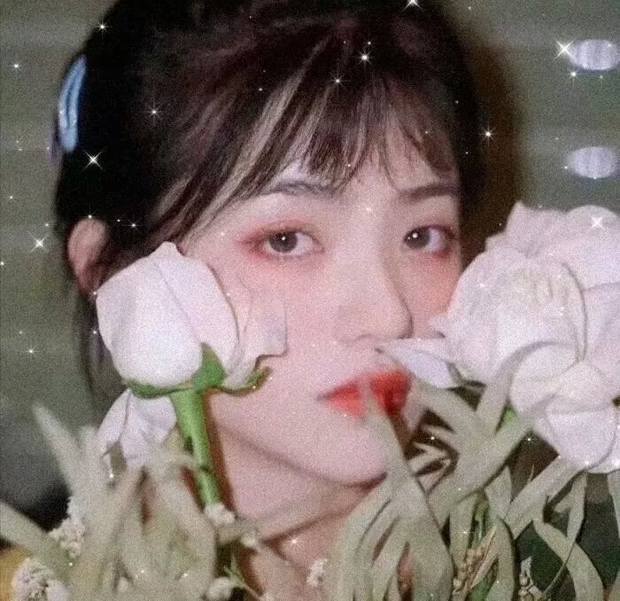 家庭教师寅子