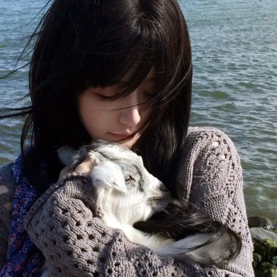 犬杀